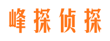 临江市私家侦探